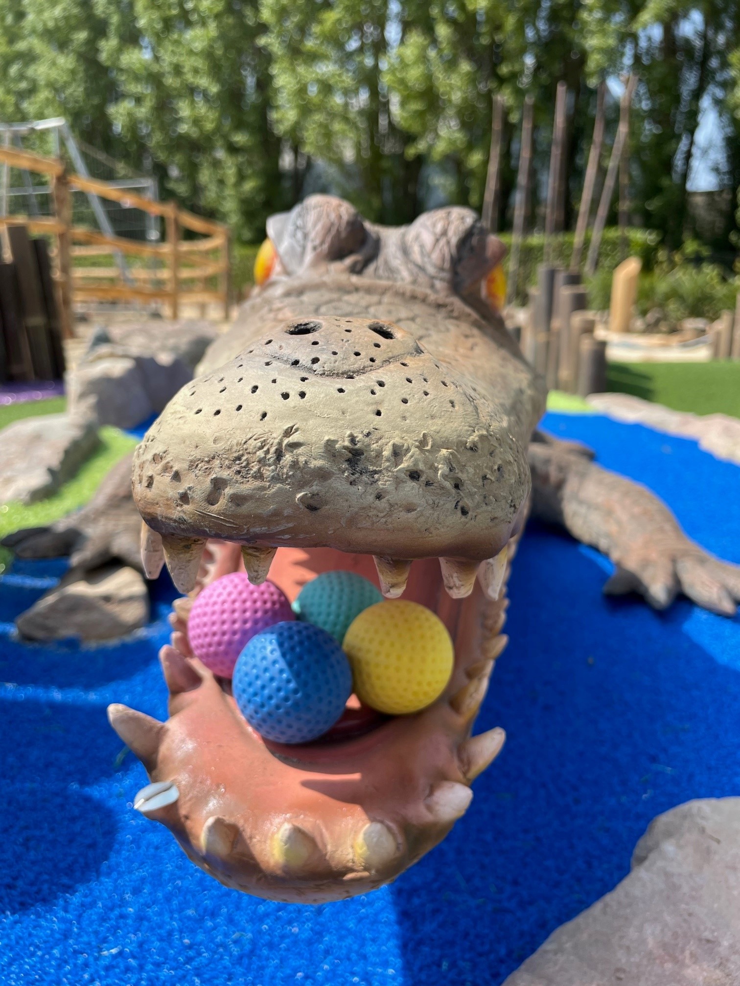 krokodil met ballen in bek
